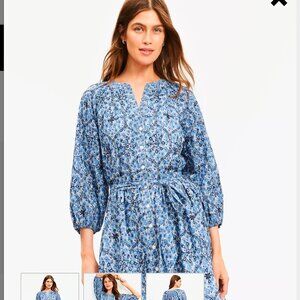 NWT Loft Floral Embroidered Split Neck Mini Shirtdress